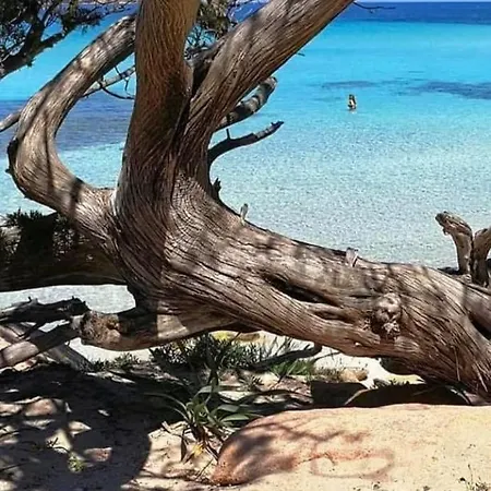 Casa Felicia Bonifacio (Corsica)