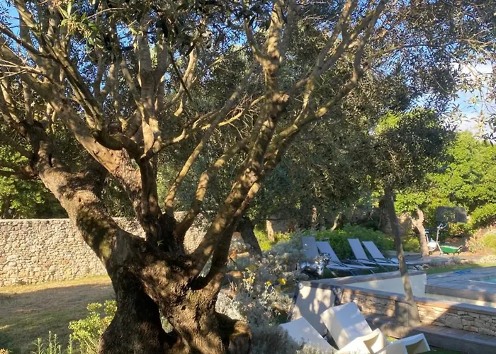 Homestay Casa Felicia