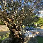 Pansiyon Casa Felicia