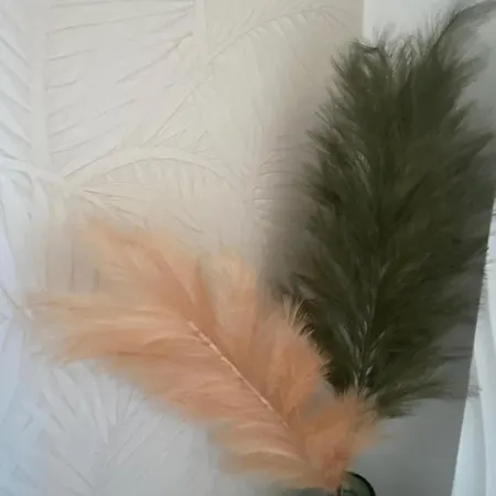 Casa Felicia * ボニファシオ