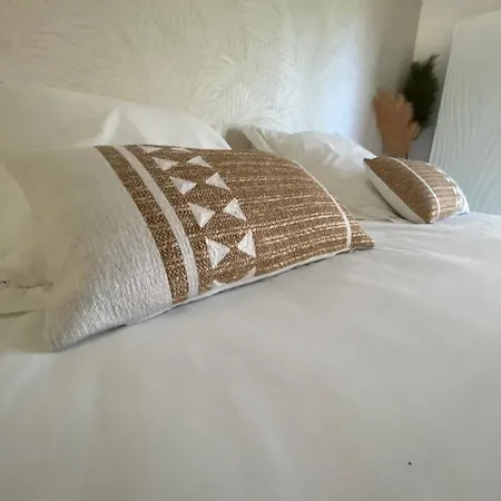 Casa Felicia ホームステイ *