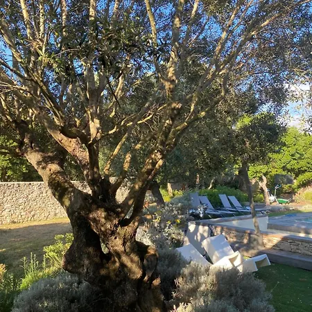 Accommodatie bij particulieren Casa Felicia