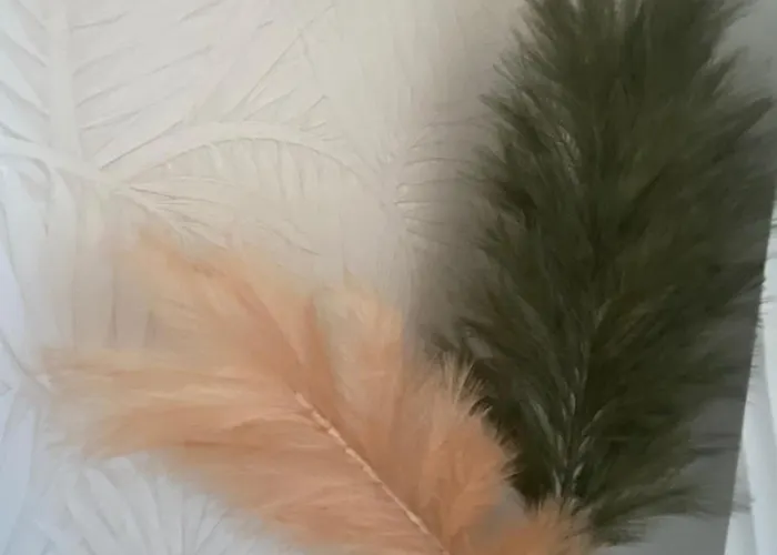 Casa Felicia * Bonifacio (Corsica)