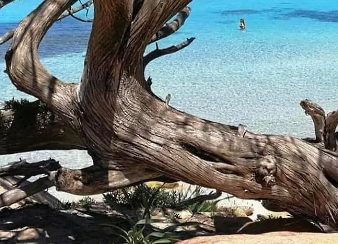 Casa Felicia Bonifacio (Corsica)